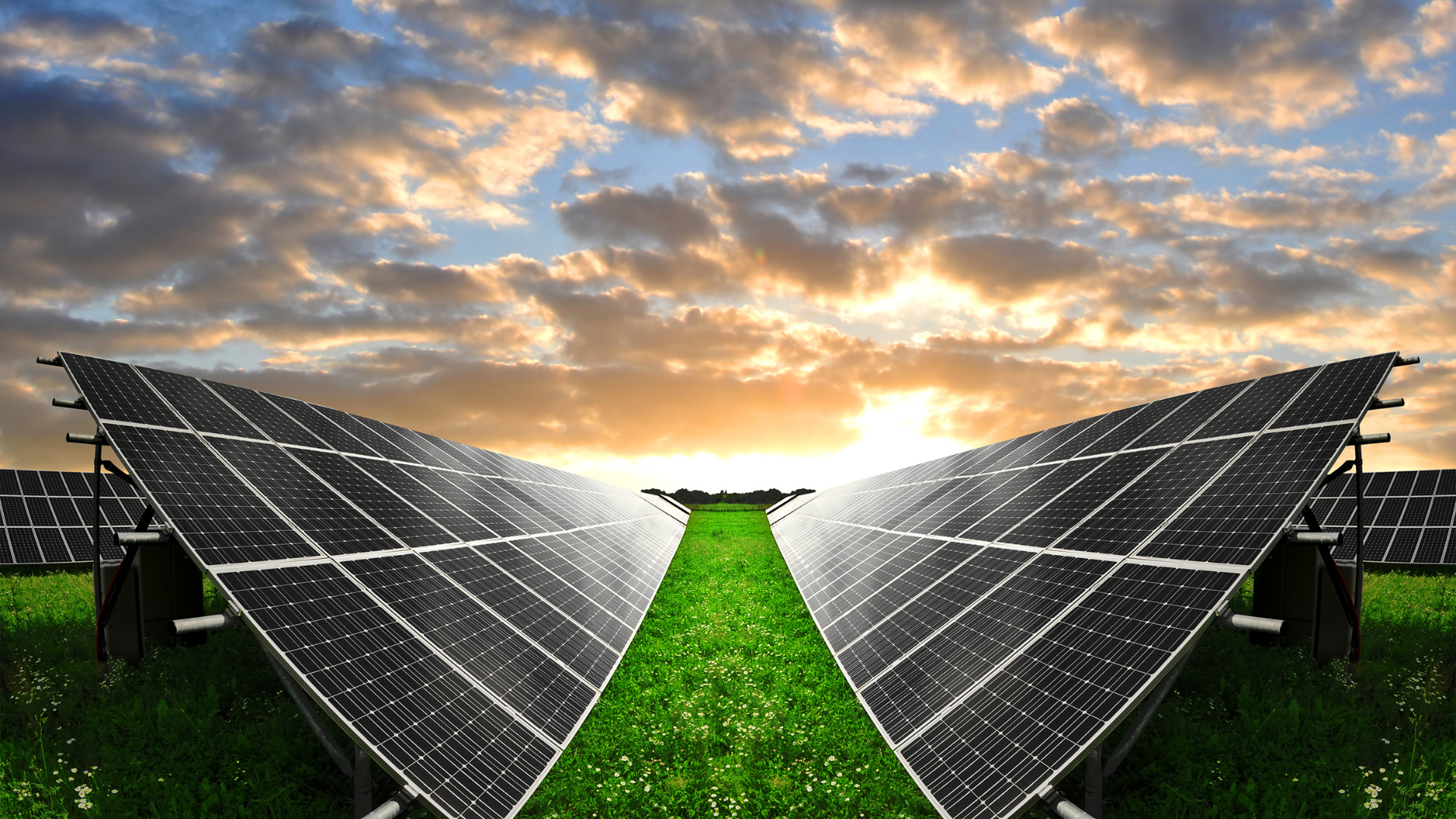 Going Green: How Solar Energy Solutions Can Benefit Your Home and Business