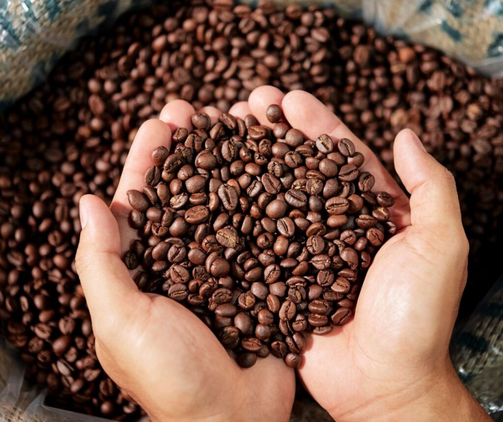 fresh roasted coffee beans online