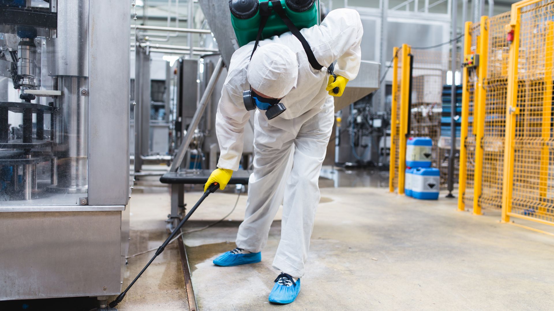 Why Commercial Pest Control Services Are Essential for Your Business