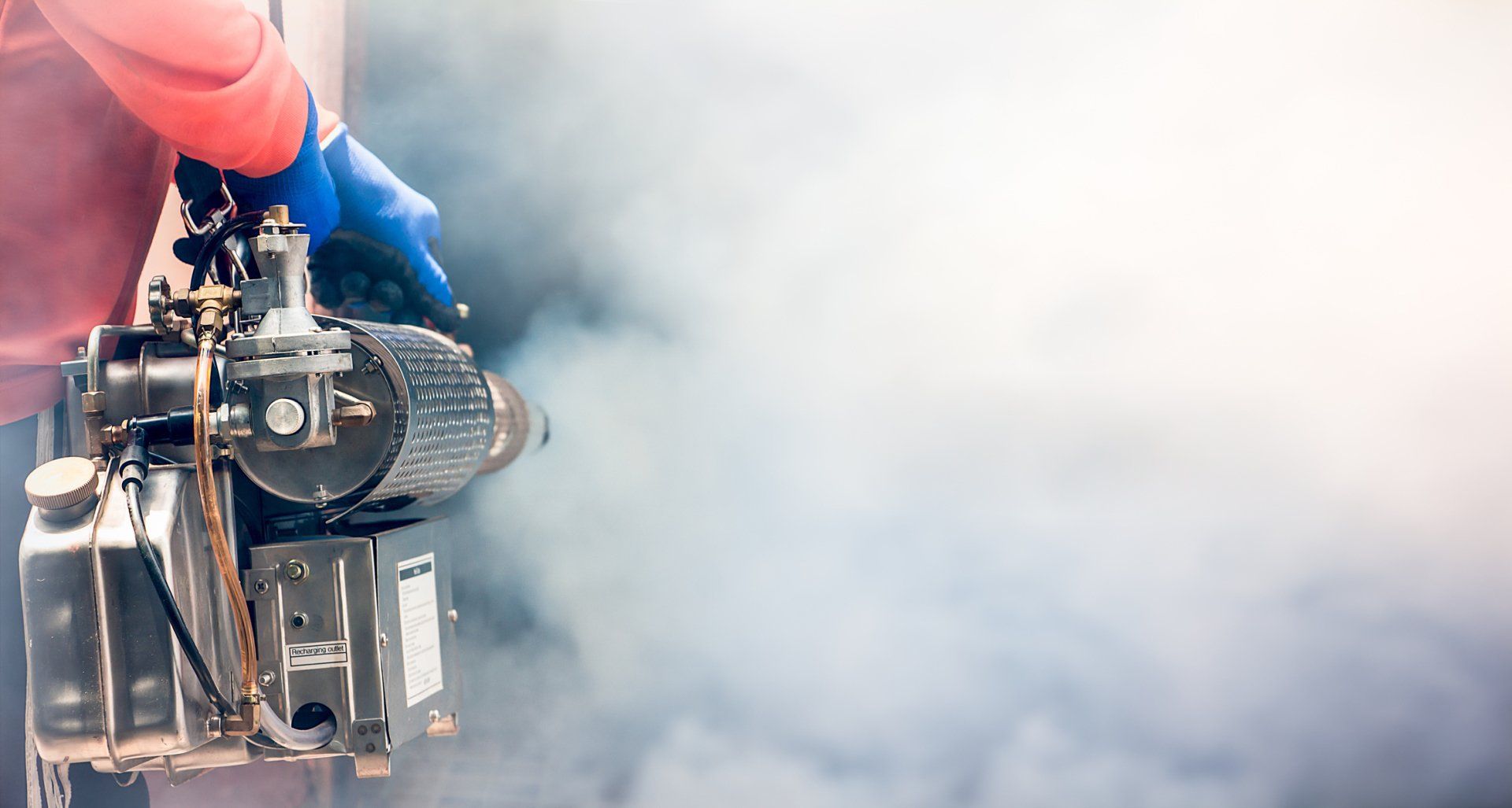 Save Money and Stay Pest-Free: Your Guide to Affordable Pest Control Services