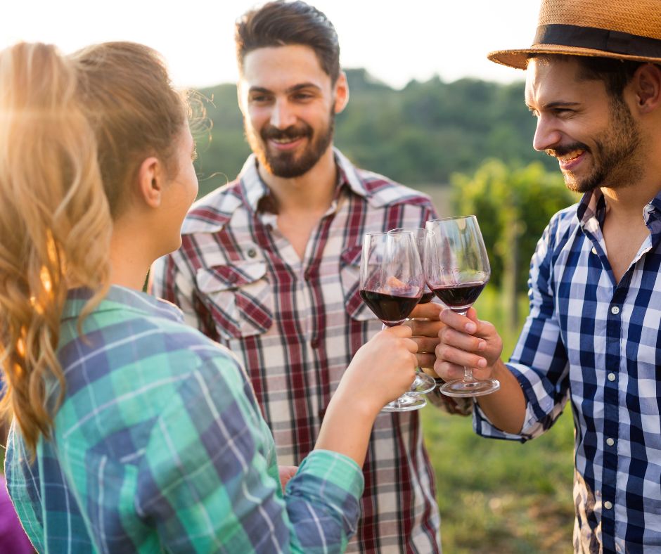 Beyond the Bottle: Trendy Twists on Napa’s Best Wine-Tasting Tours