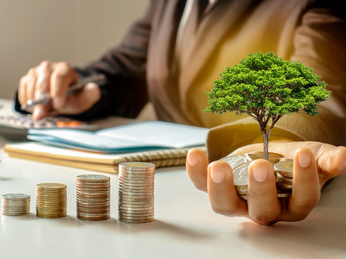 The Role of Diversification and Asset Allocation in Effective Wealth Management