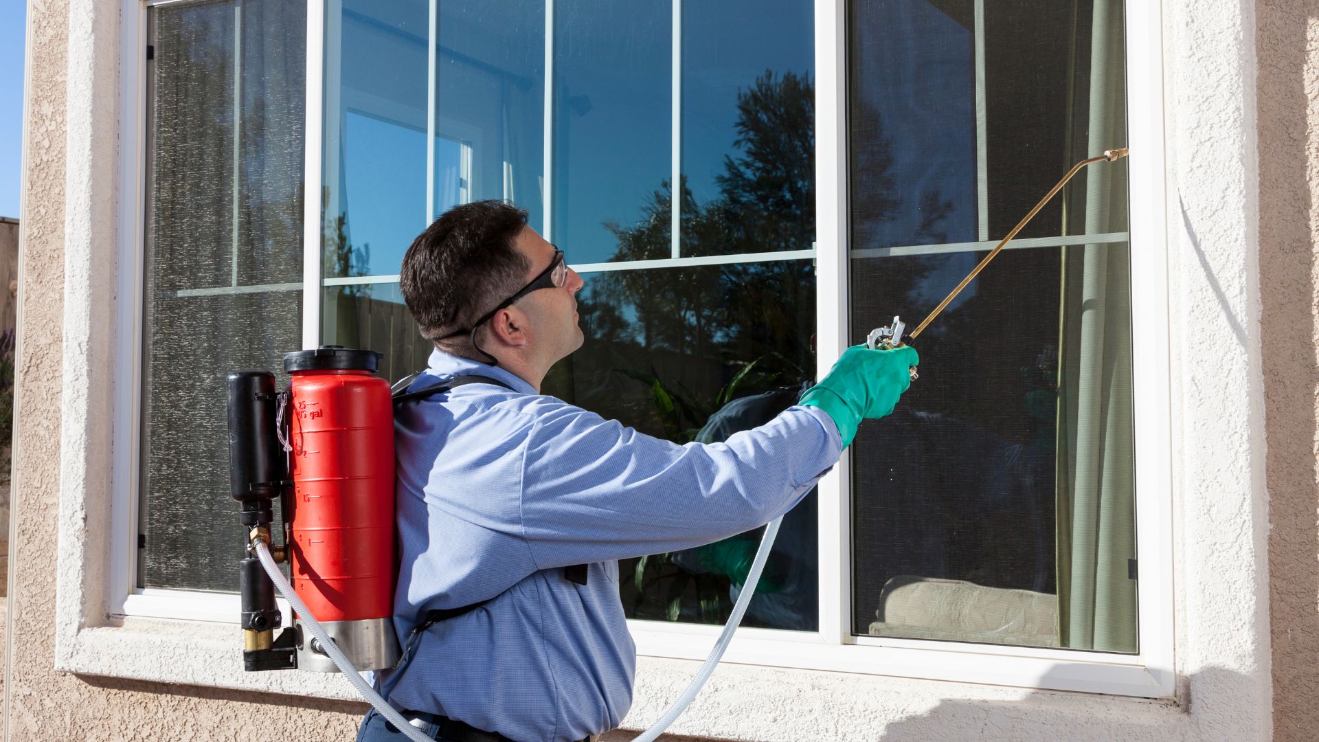 Protecting Your Business: Commercial Pest Control Services Near You in Delaware