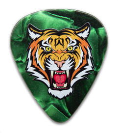 Celluloid vs Delrin Guitar Picks: Which Material Delivers Better Performance?