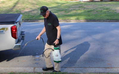 Why Residential Pest Control Greensboro Homes May Need Professional Pest Prevention