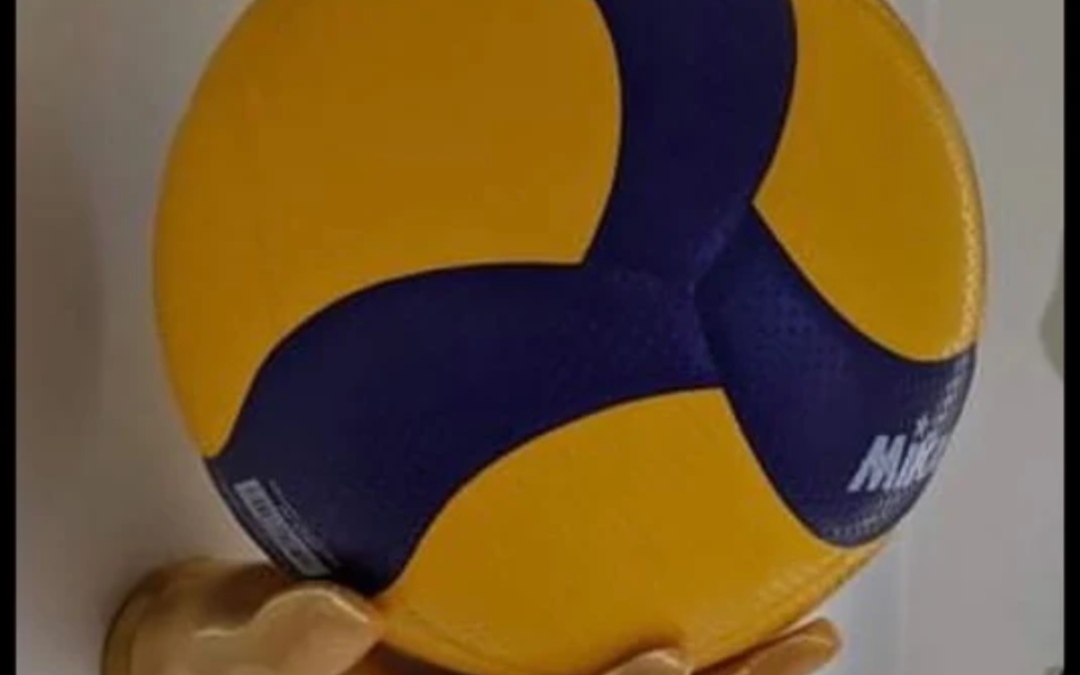 Looking for a Better Way to Display Your Volleyball? Choose a Dedicated Holder for a Clean Sports Display